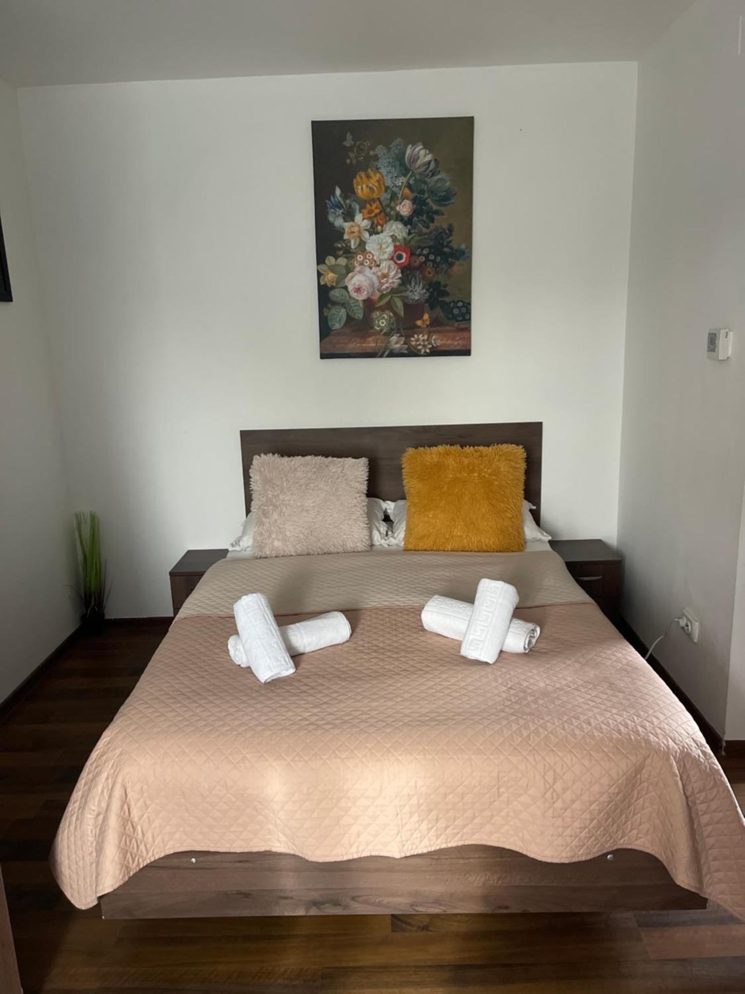 Orange House Apartment Timisoara Exterior photo